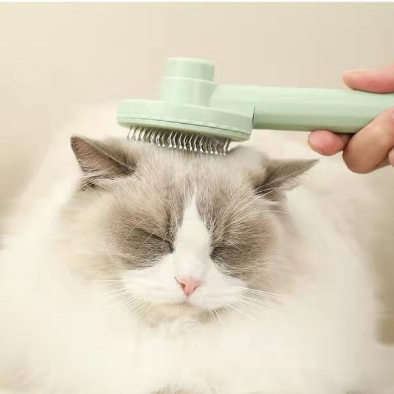 Pet Beauty Slicker