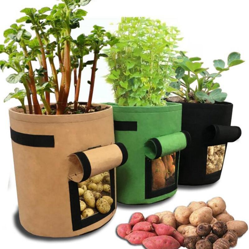 Carrot And Potato Growing Bags