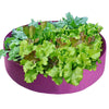Landscape Fabric Raised Garden Beds