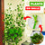 Plant Climbing wall clip Thumbnail