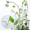 Plant wall clip4