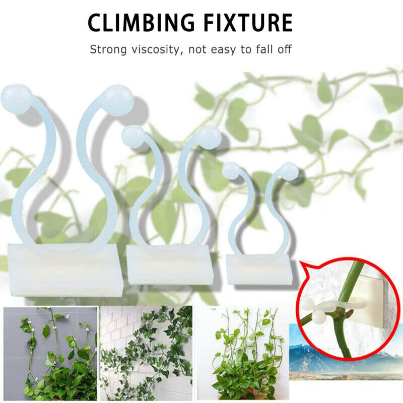 Plant wall clip5