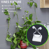 Plant wall clip8