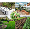 easy irrigation system for garden