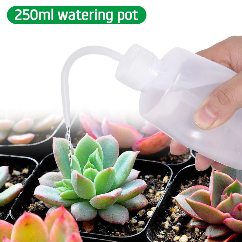 garden tools for indoor plants