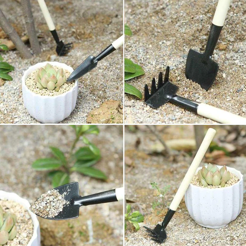 house plant gardening tools