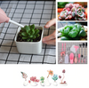 indoor gardening tool set