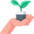 Plant a tree