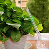 green plant on a pot with an automatic self watering flask on the side