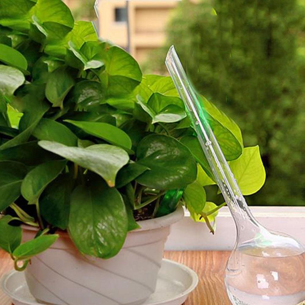 green plant on a pot with an automatic self watering flask on the side