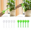 hand holding a plant watering tool and white and green colored flasks