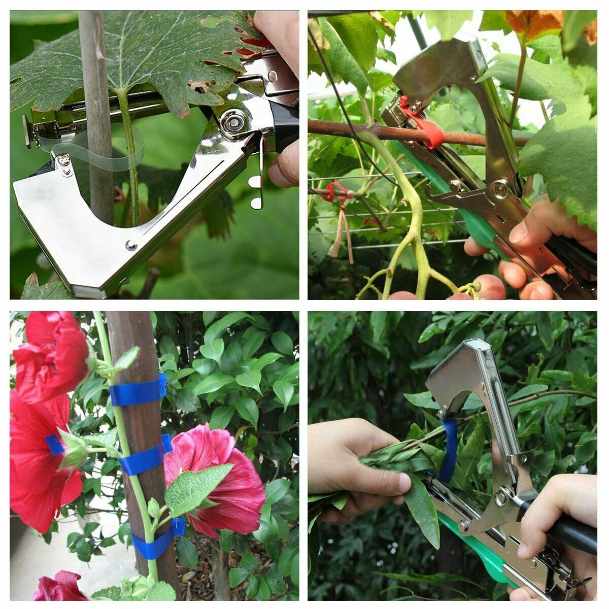 tying plants to trellis TRELLIS - PLANT UPRIGHT TYING TAPE TOOL