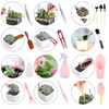 small succulent tool set