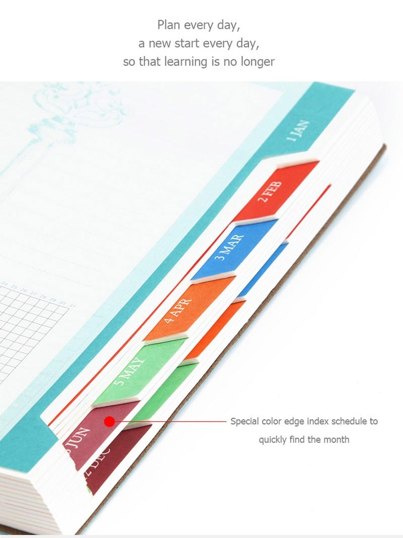 special color edge index feature