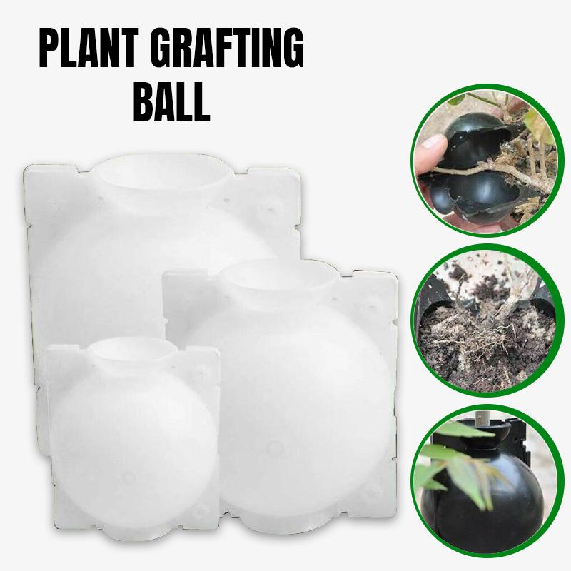 what is the benefit of grafting